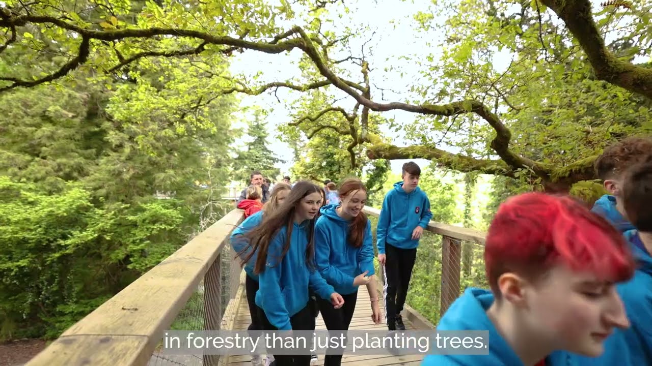 Coillte World of Work Programme