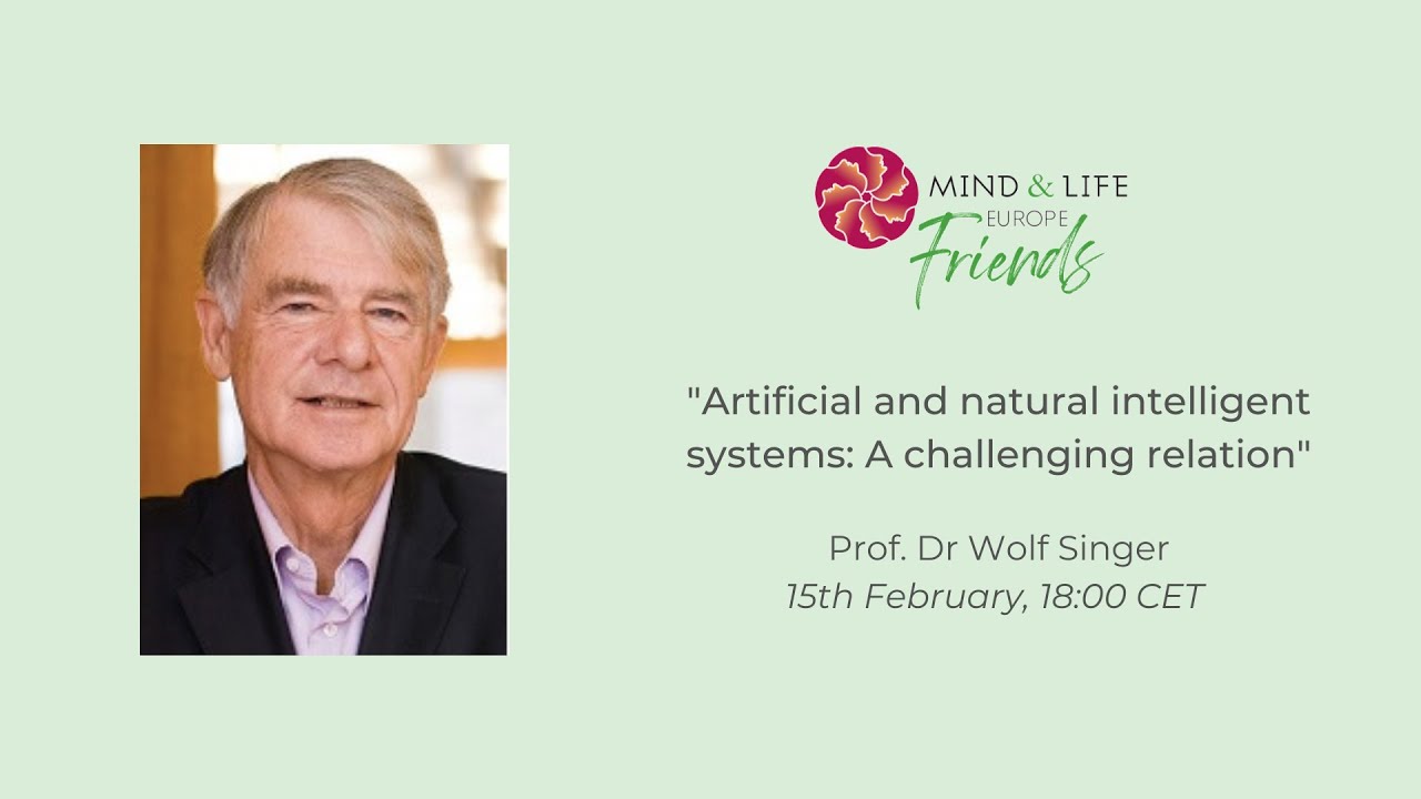 MLE Friends webinar: 