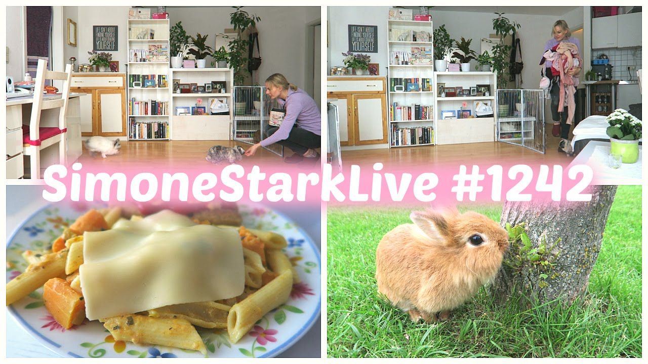 ALLTAG MIT TIEREN!