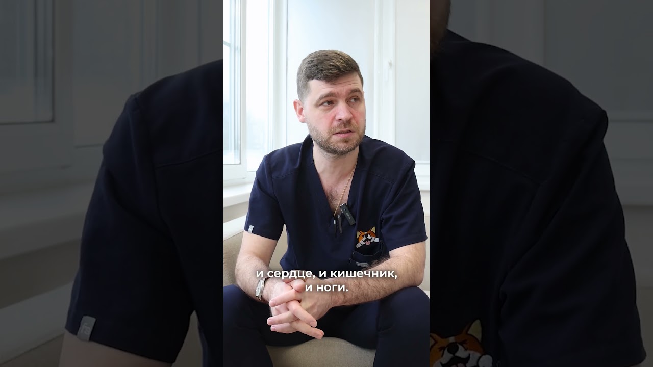 Что такое атеросклероз? #доктор #медицина #хирургия #сосуды #хирург #сосудистыйхирург #атеросклероз