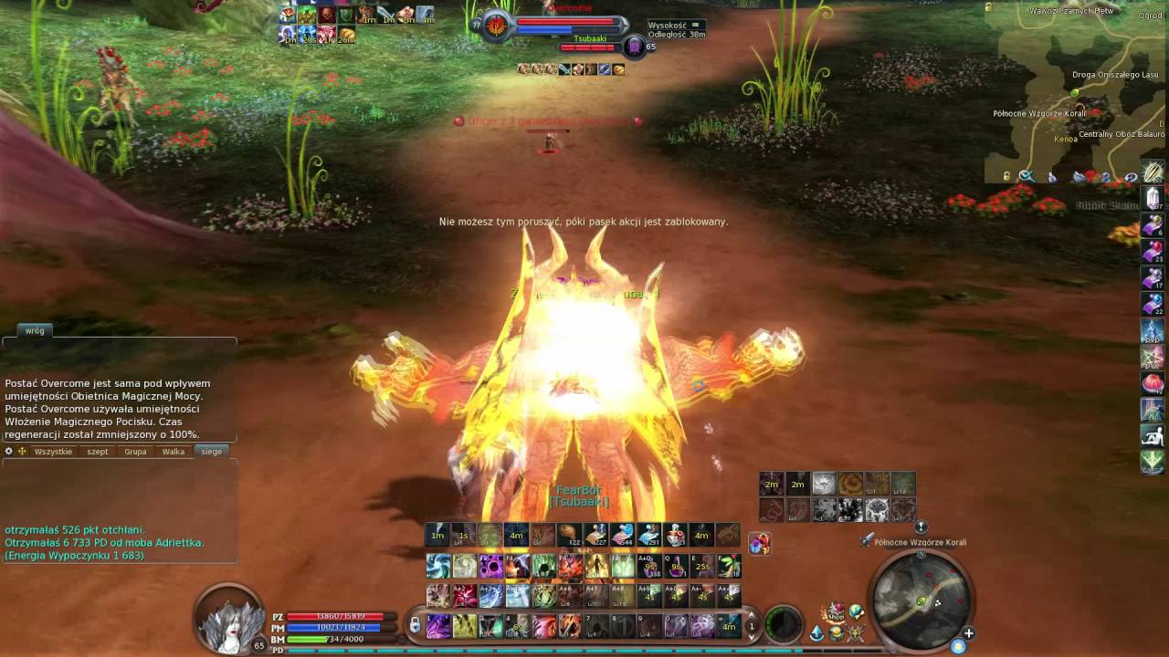 Aion Spiritmaster pvp #3