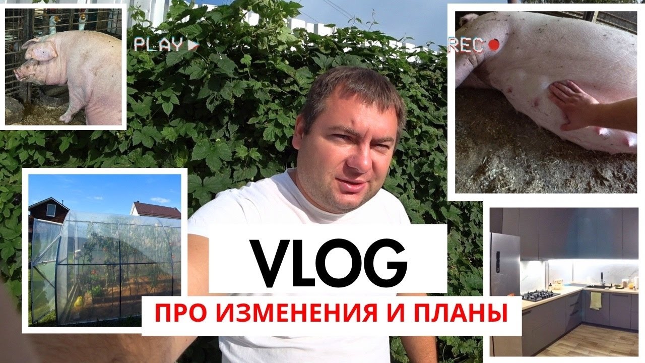 Официально свободен. Жду роды. Золотая кухня
