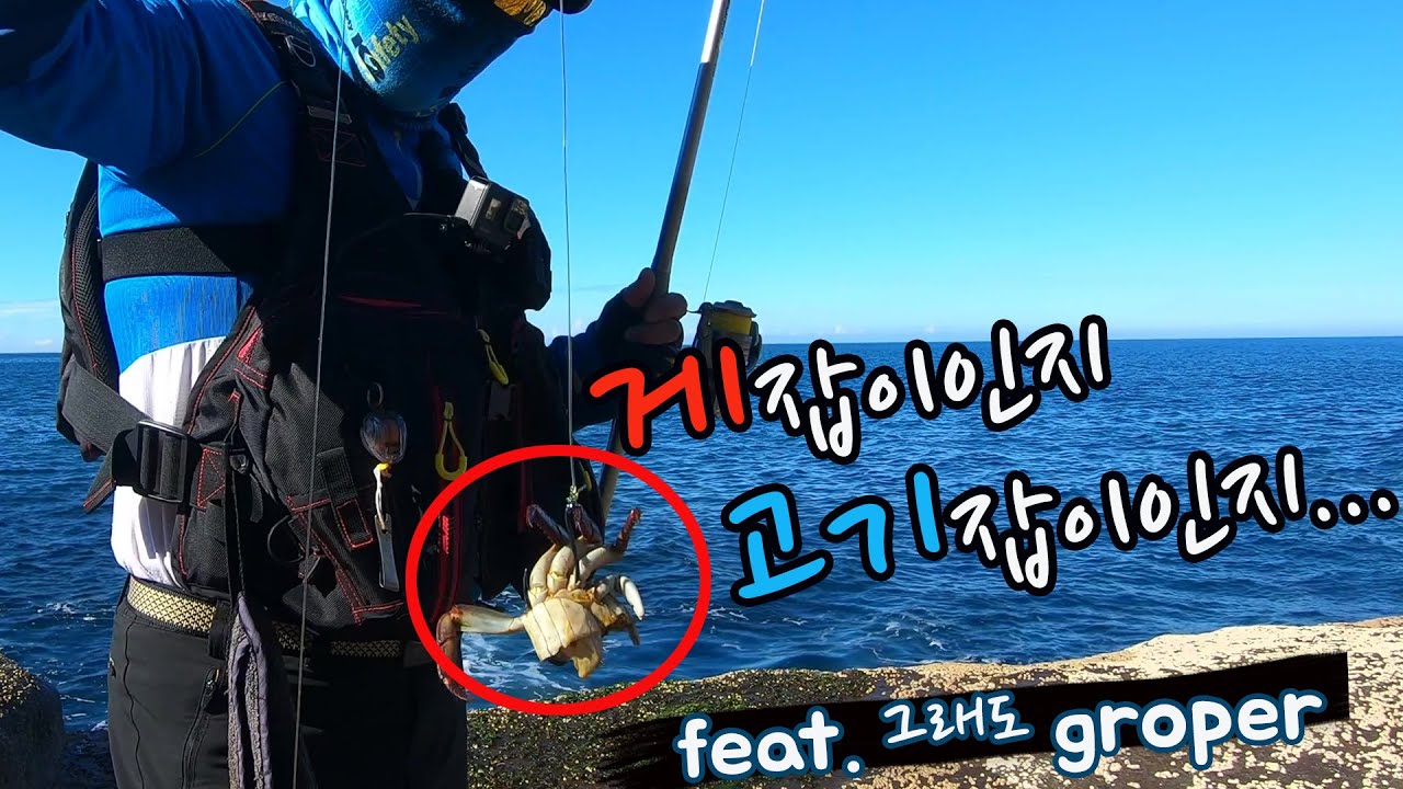 [4K] 절대 실패가 없는 미끼 !!