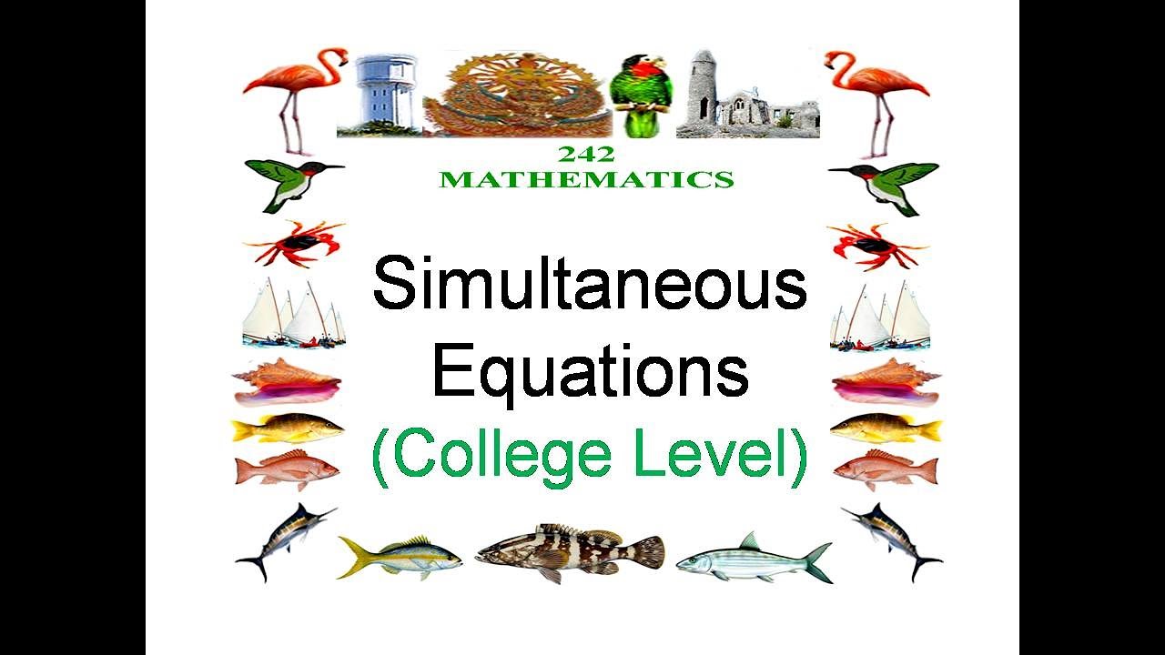 Simultaneous Equations: College level