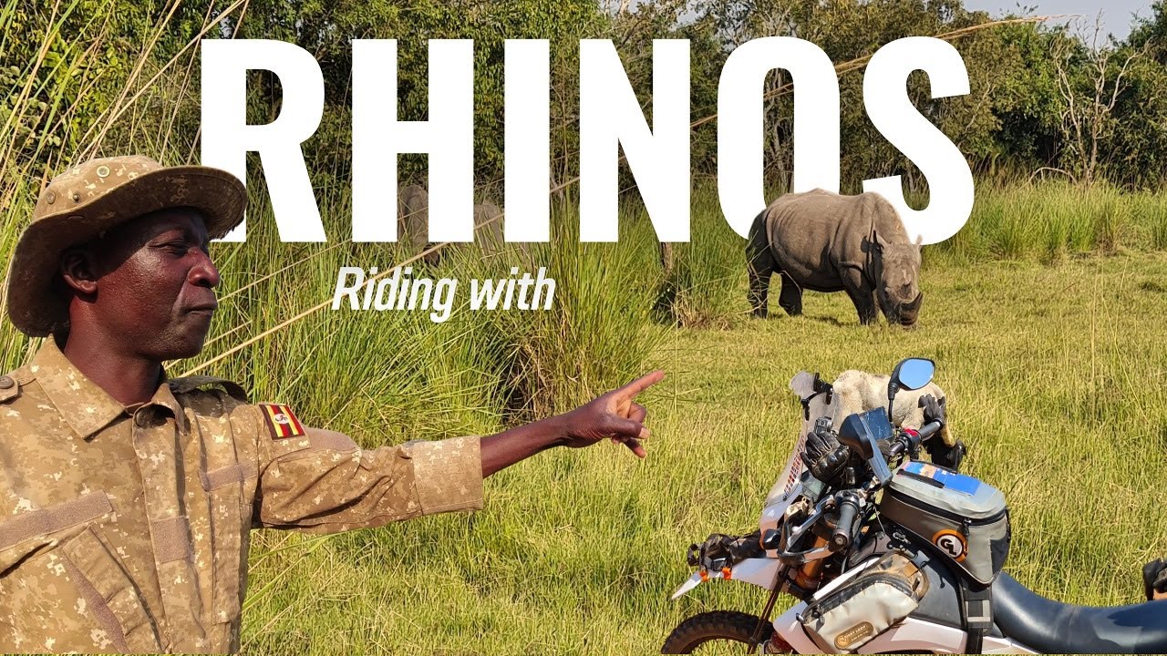 Riding deep into the Ugandan bush to find Rhinos