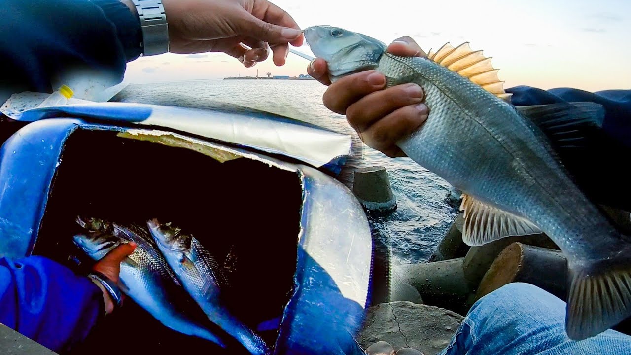 السمك بالجوز اصطباحة كاستنج بالسيلكون ناااار