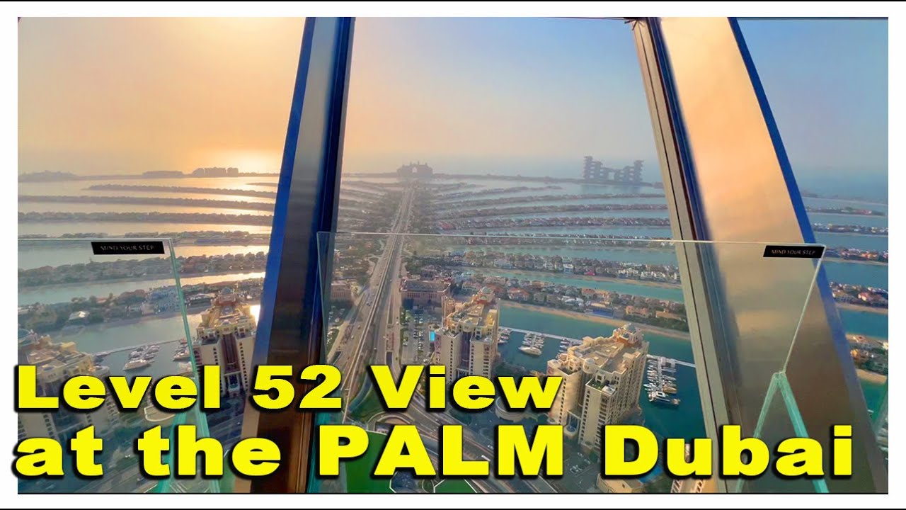 View at the Palm 
