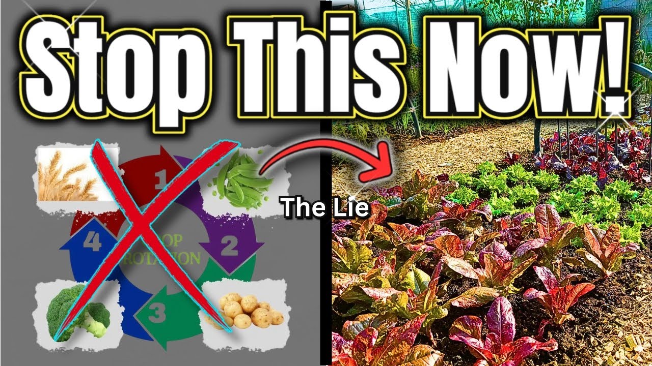 The Crop Rotation Lie: Why You Don’t Need It!