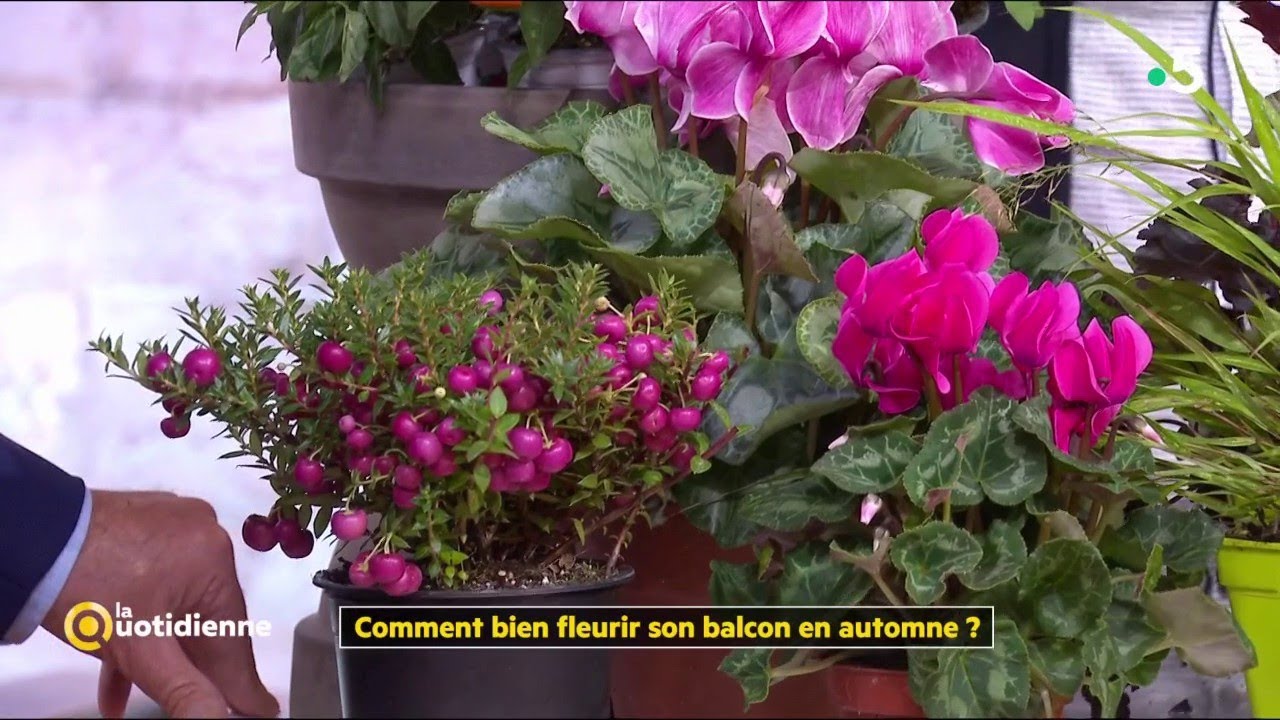 Comment bien fleurir son balcon en automne ? Avec Botanic - La Quotidienne