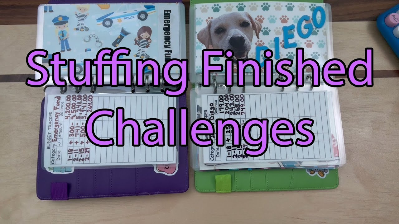 Unstuffing & Counting Fayfee's Book! | Stuffing Finished Challenges into Sinking Funds | Goals