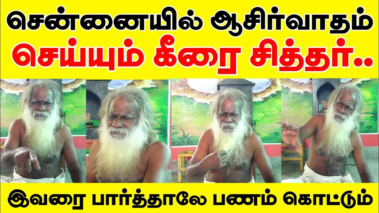 சென்னையில் ஆசிர்வாதம் செய்யும் கீரை சித்தர்| living sithar| வாழும் சித்தர்| கீரை சித்தர் #சித்தர்கள்