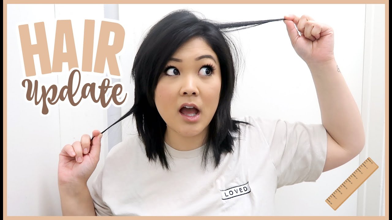 Hair Growth Update | Is my hair the same length all the way around?