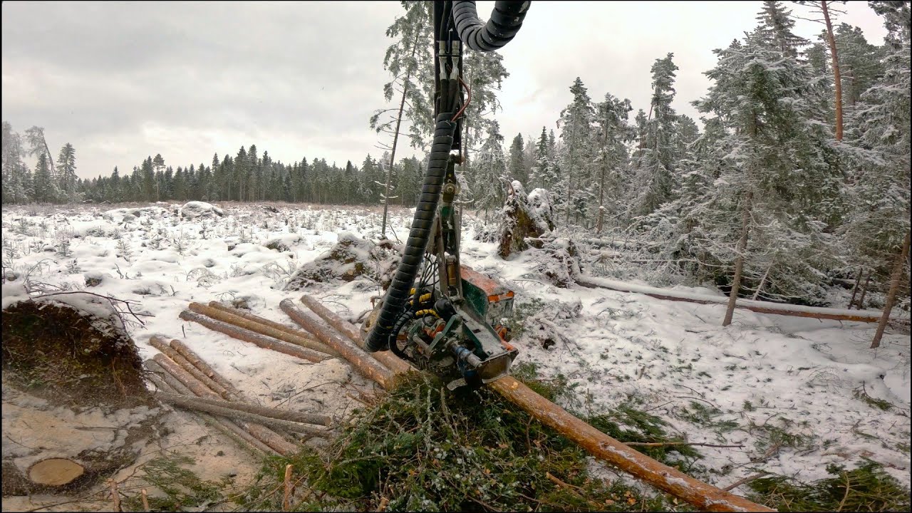Tuulenkaatojen hakkuut jatkuu - Profi 500 & Keto 100