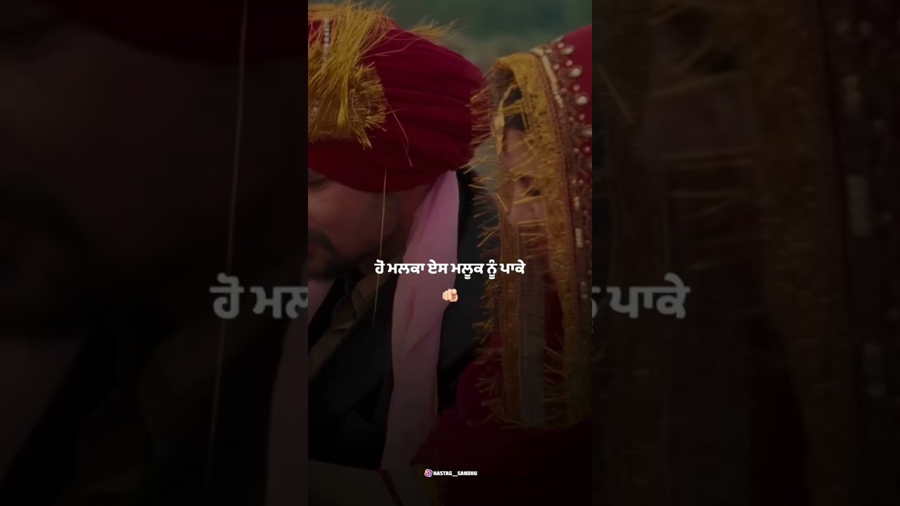 Birbal: Tiger Whatsapp Status | Punjabi Song Whatsapp Status | New Punjabi Song 2025