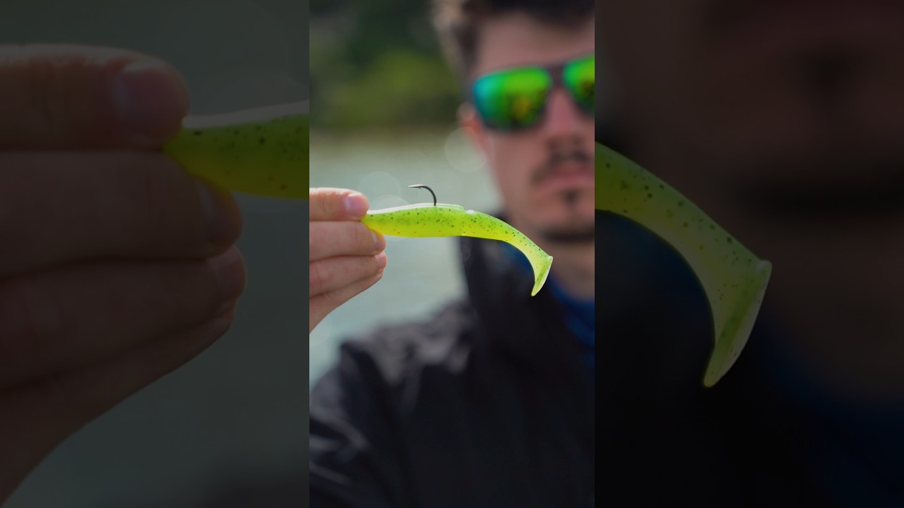 Sawamura One Up Shad 🔥🎣👉🏼BESTANGLER.COM👈🏼#fishing #fishinglures #sawamura #sawamuraoneupshad #fish
