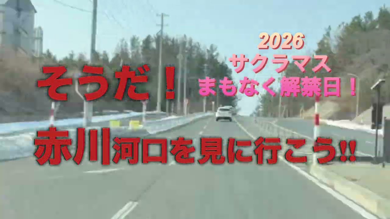 【まもなくサクラマス解禁日‼️赤川河口の様子は⁉️】#赤川#サクラマス 