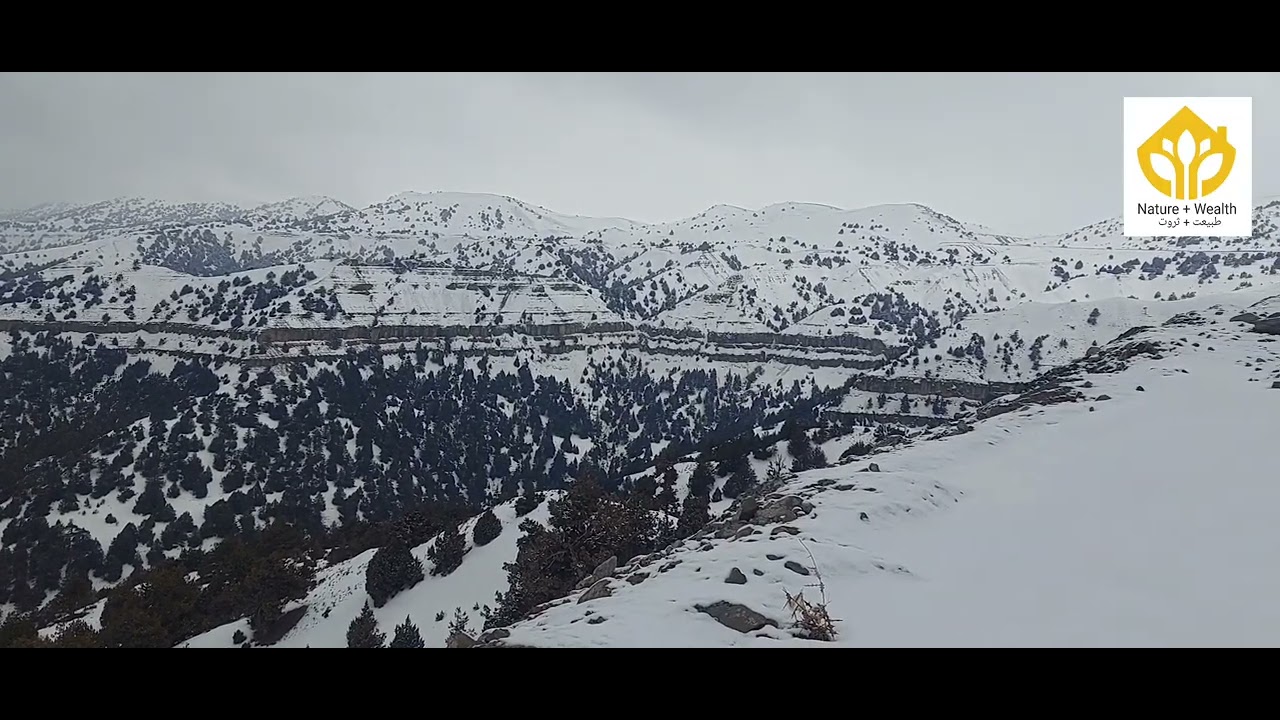 برف زیبا منطقه بند سبزک ولایت بادغیس + Beautiful snow in the Band-e Sabzak area of Badghis Province