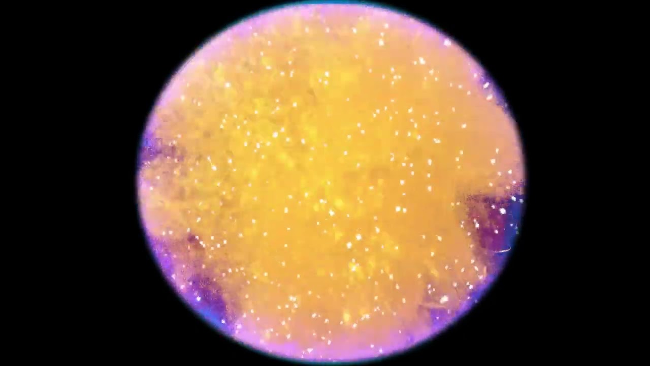 Snowglobe Mapping XMAS