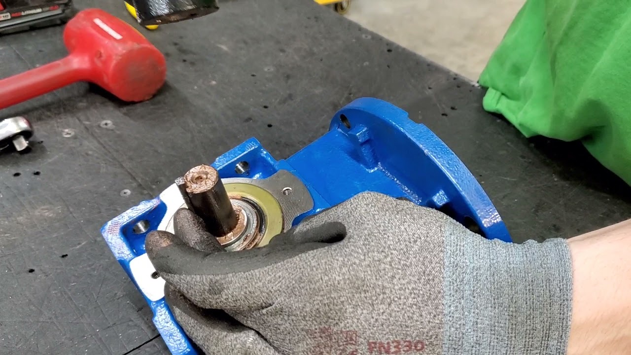 Leander Cam Replacement