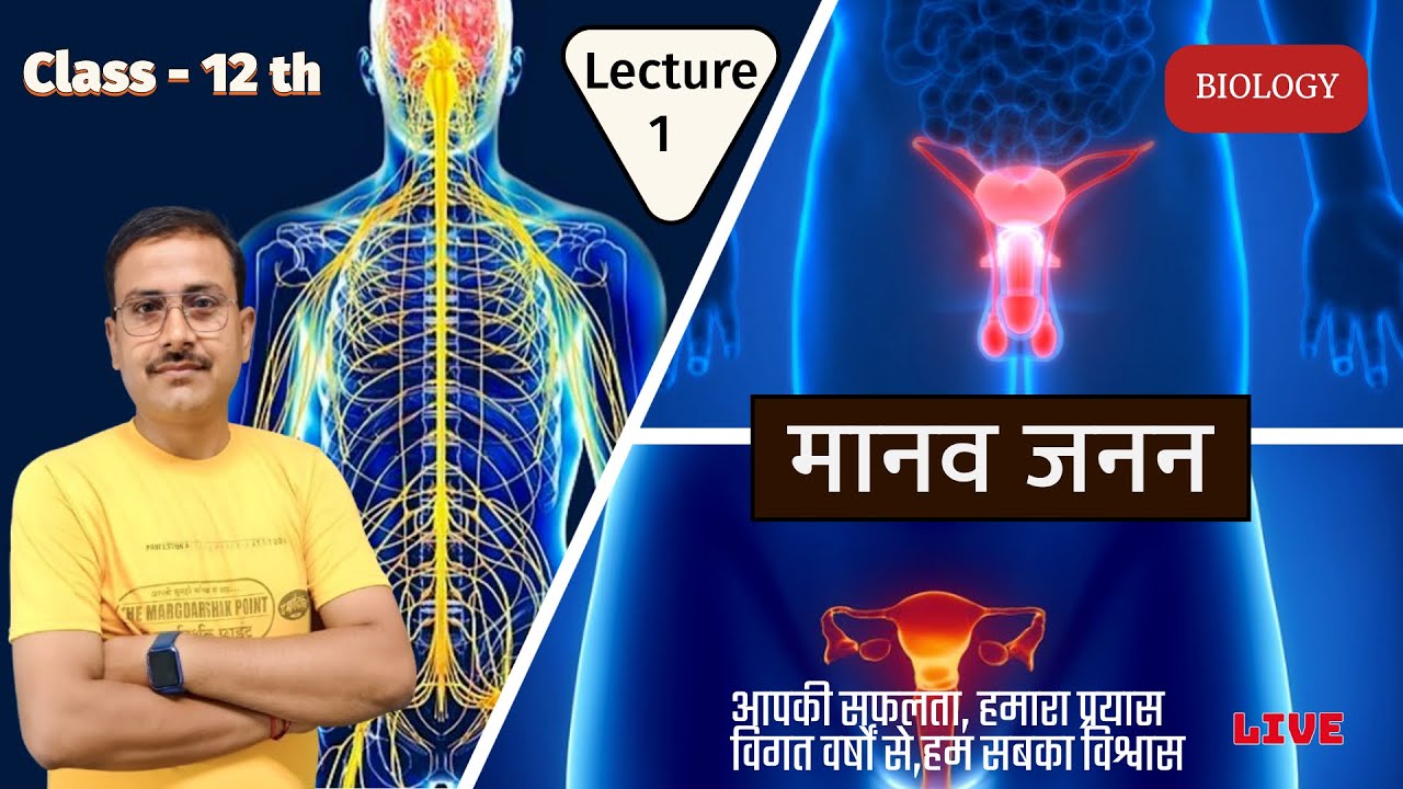 Live: Class- 12 th || Biology  ||  मानव जनन || Human Reproduction || UP BOARD || SSC || CUET || NEET