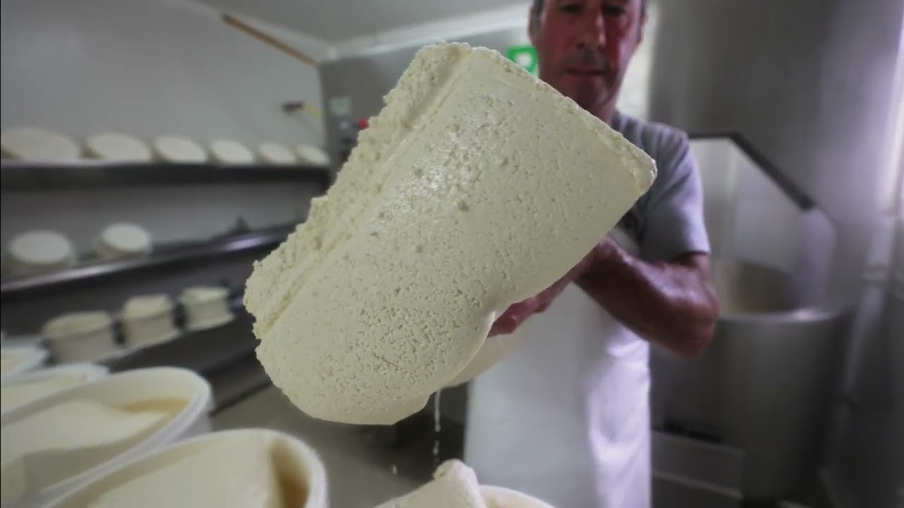 En route pour la fabrication fermière du fromage AOP Ossau-Iraty
