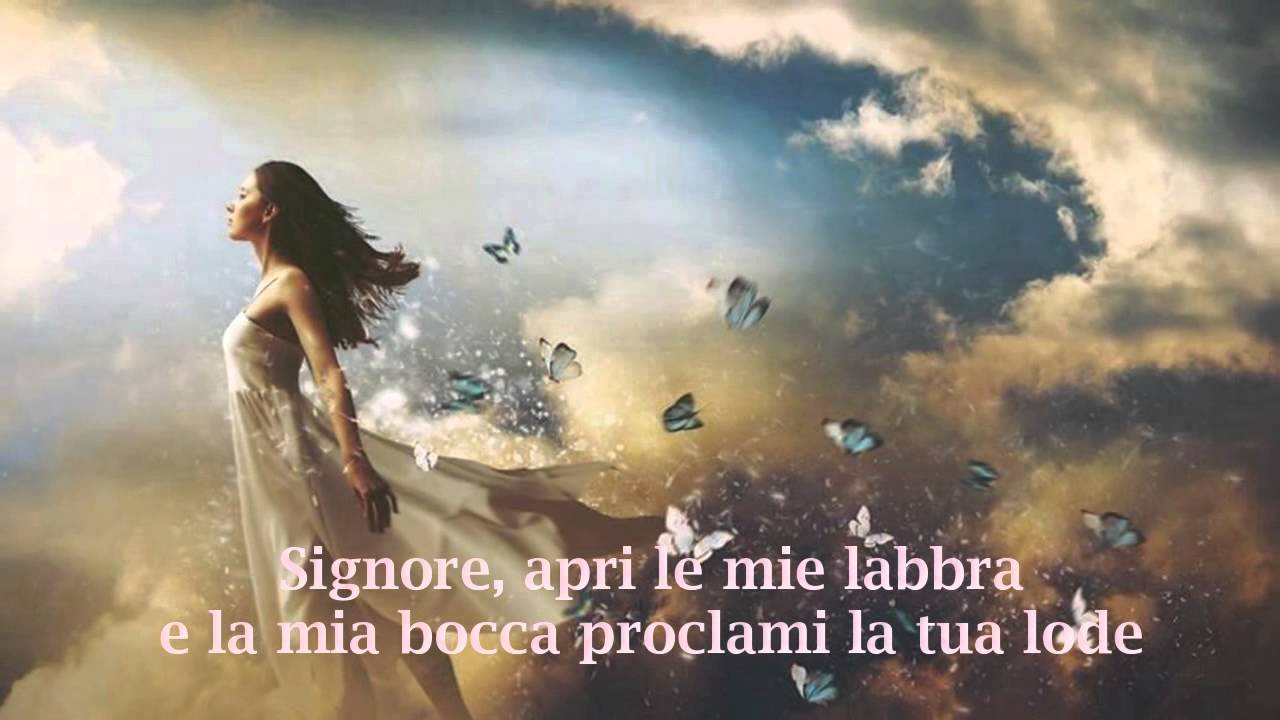 Nuova vita! …. (fratelli Zigani)