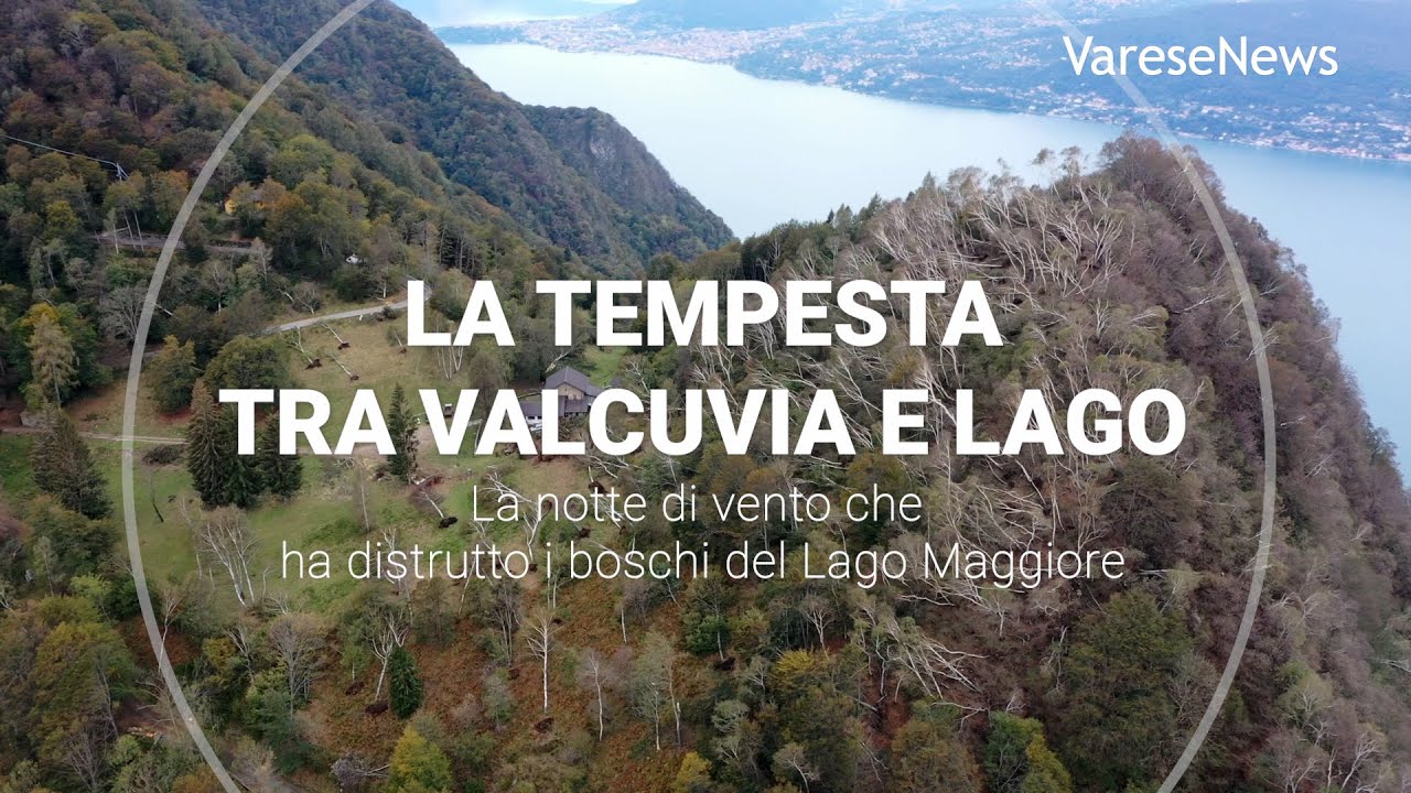 La notte di vento che ha distrutto i boschi del Lago Maggiore