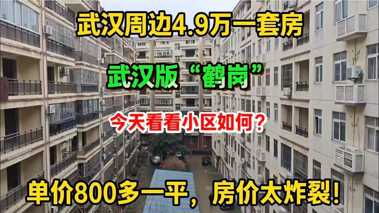 武汉周边4.9万一套房，单价800多一平，房价太炸裂！今天看看小区如何？