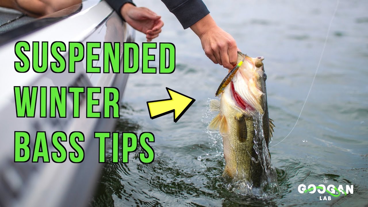 WINTER Bass FISHING TIPS! ( Catch More SUSPENDED FISH )