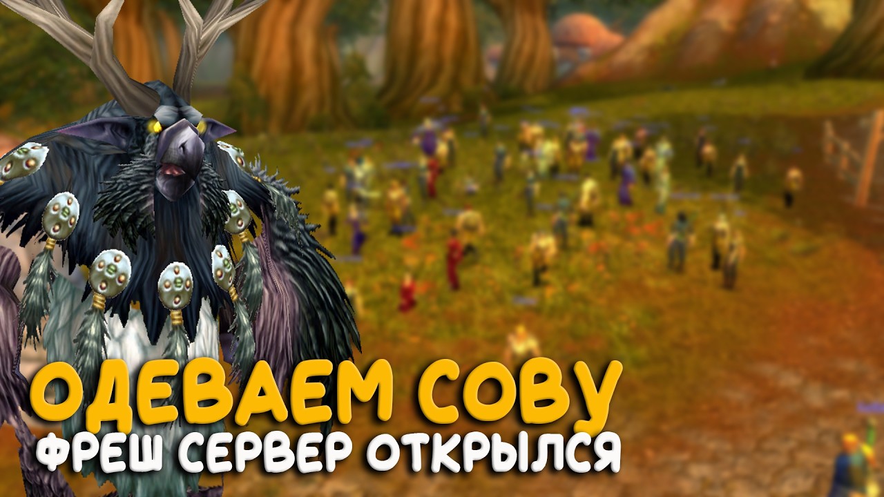 Жесткий сыч! На бесплатном сервере 3.3.5 World of Warcraft