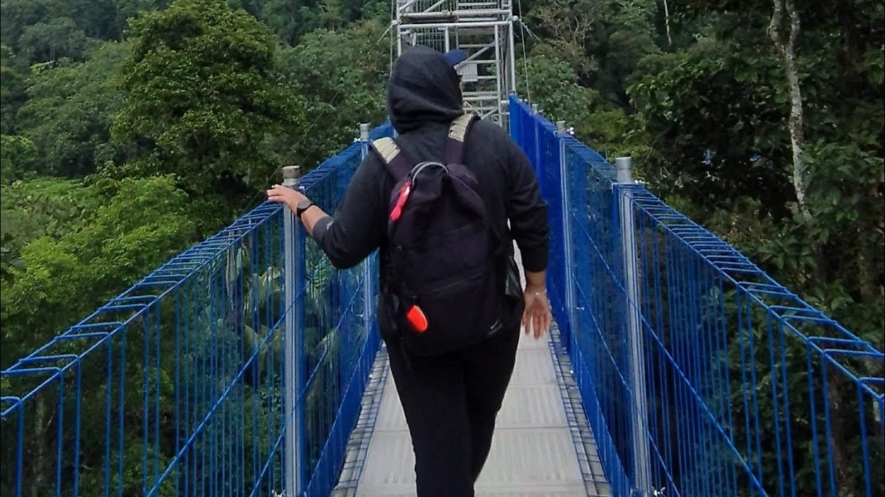 FRIM Forest Skywalk Kepong Botanic Gardens (KBG)