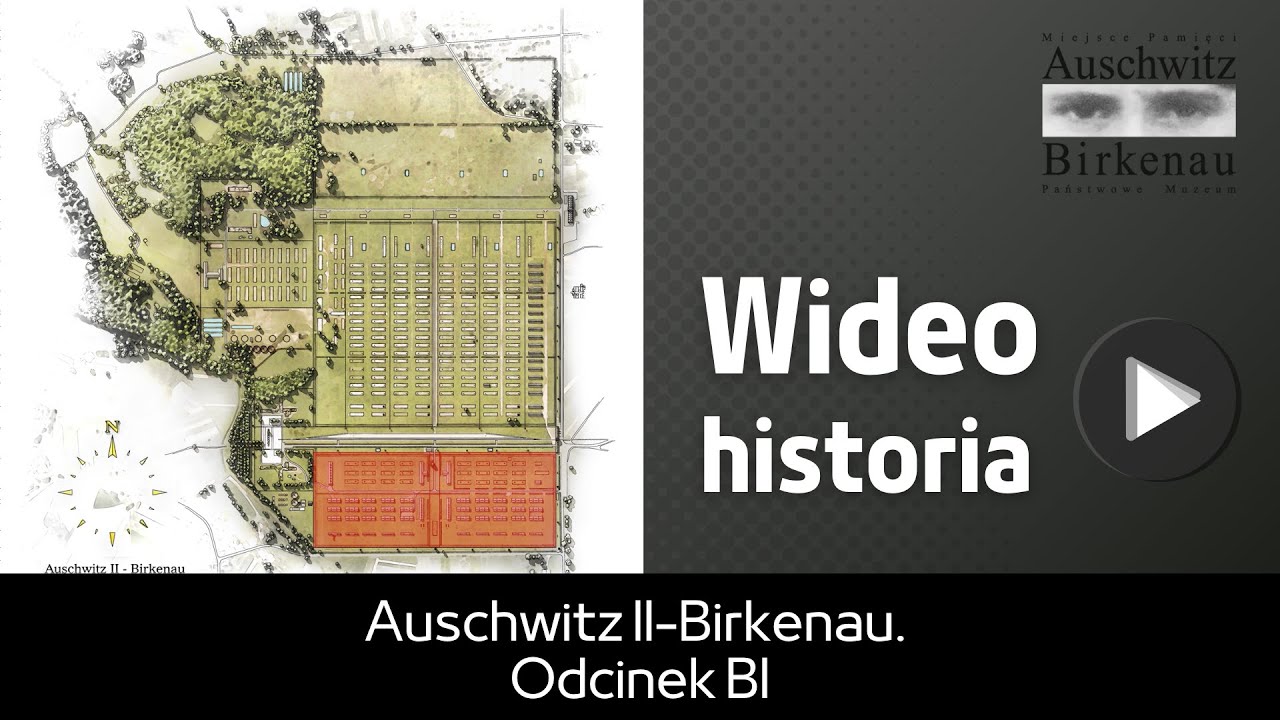 Auschwitz II-Birkenau: odcinek BI