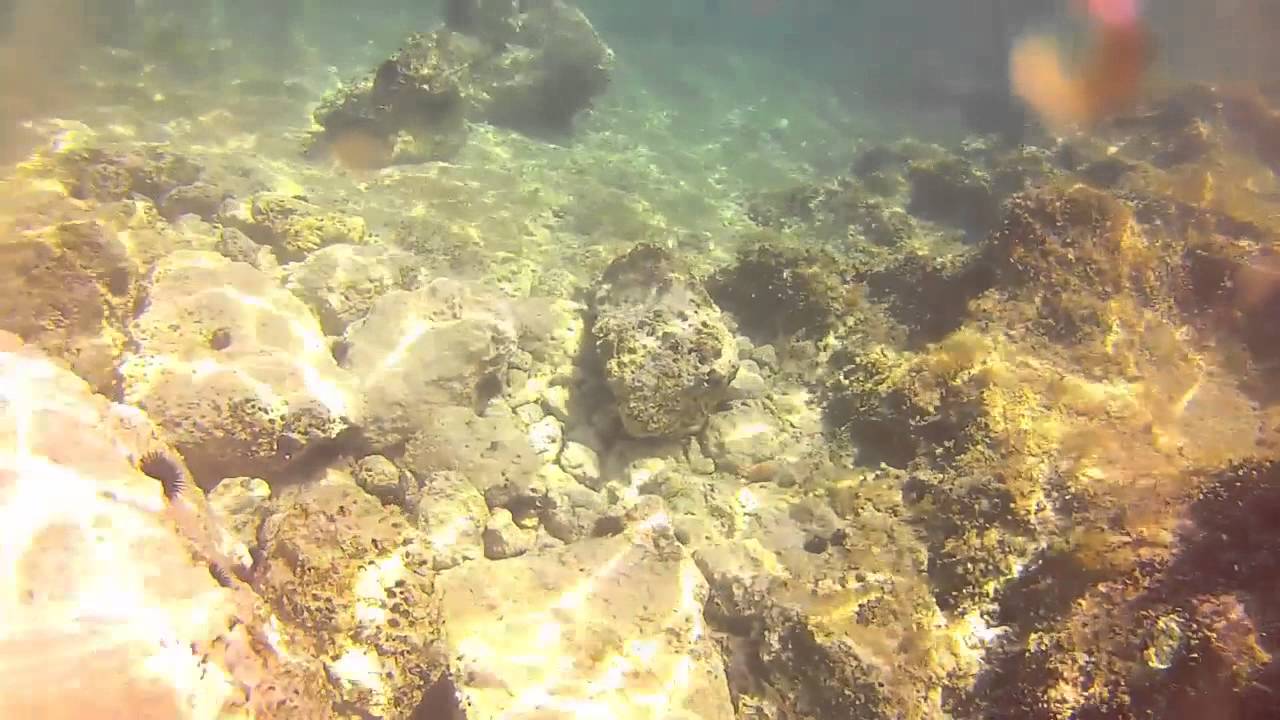 Video tra i fondali marini del Salento