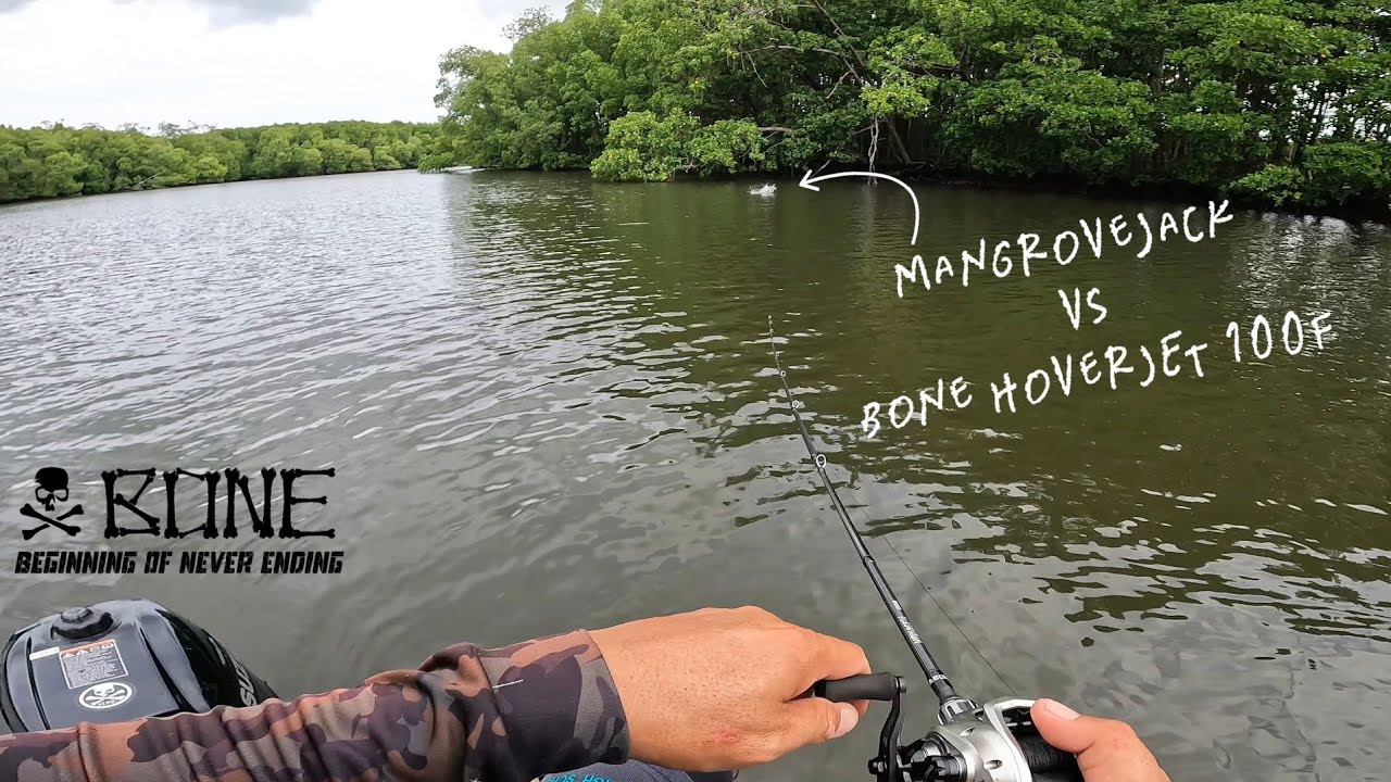 MANGROVEJACK VS BONE HOVERJET || TOP WATER EXPLOSION ‼️