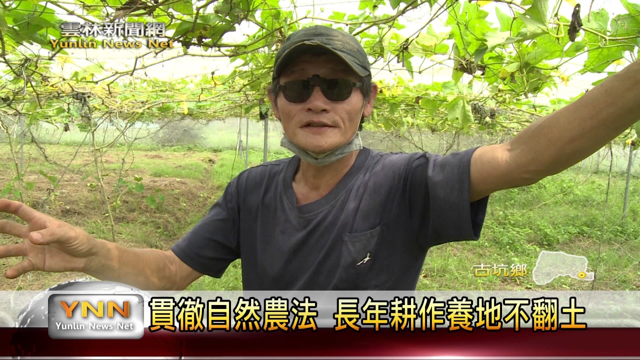 雲林新聞網-貫徹自然農法 長年耕作養地不翻土
