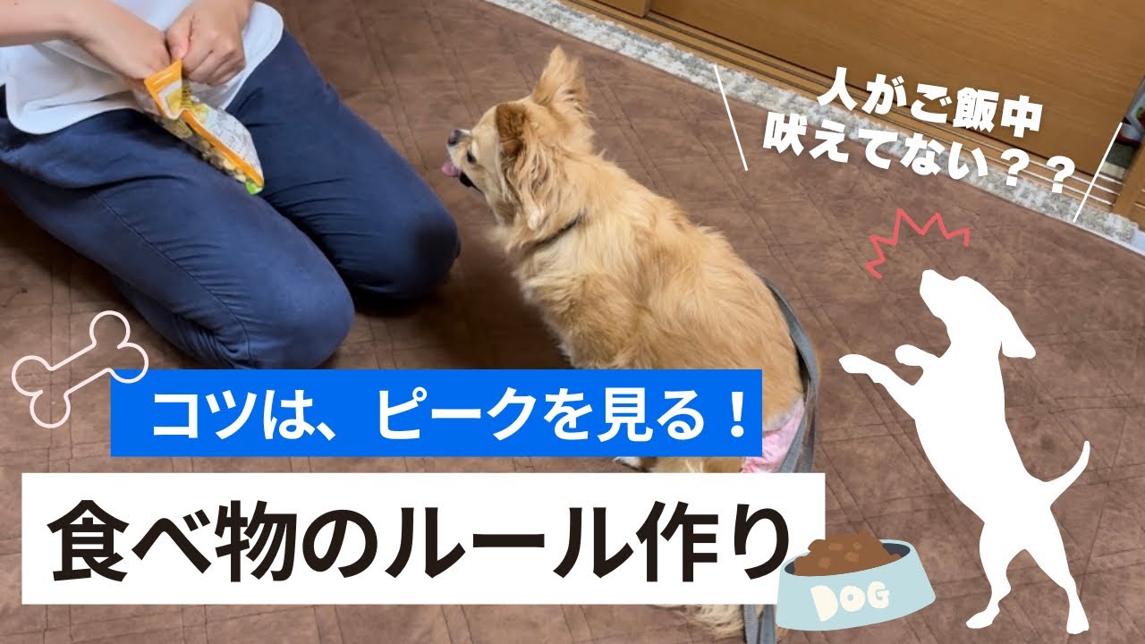 【4つの主張】食べ物へのルール作り