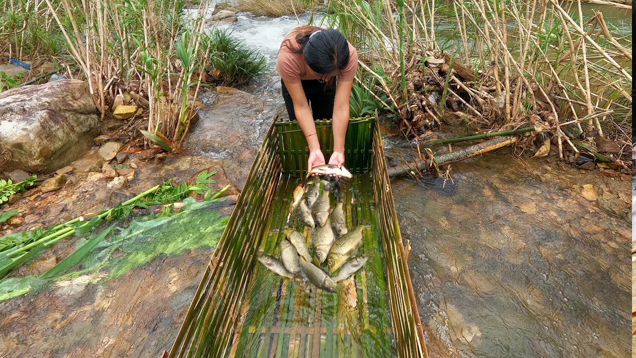 Wild fishing skills, Building a unique fishing system on the river, natural fishing techniques Ep2