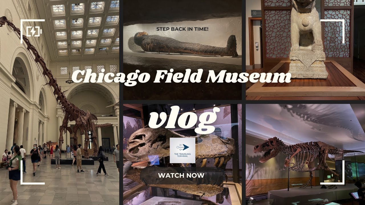 Exploring the Chicago Field Museum – A Journey Through Time! ⏳🦖