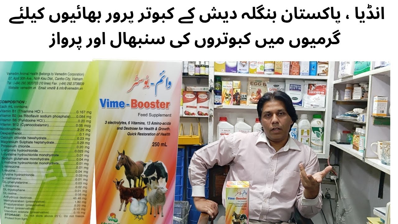 Vime Booster | پاک و ہند کے کبوتر پرور بھائیوں کیلئے گرمیوں کا تحفہ  | 