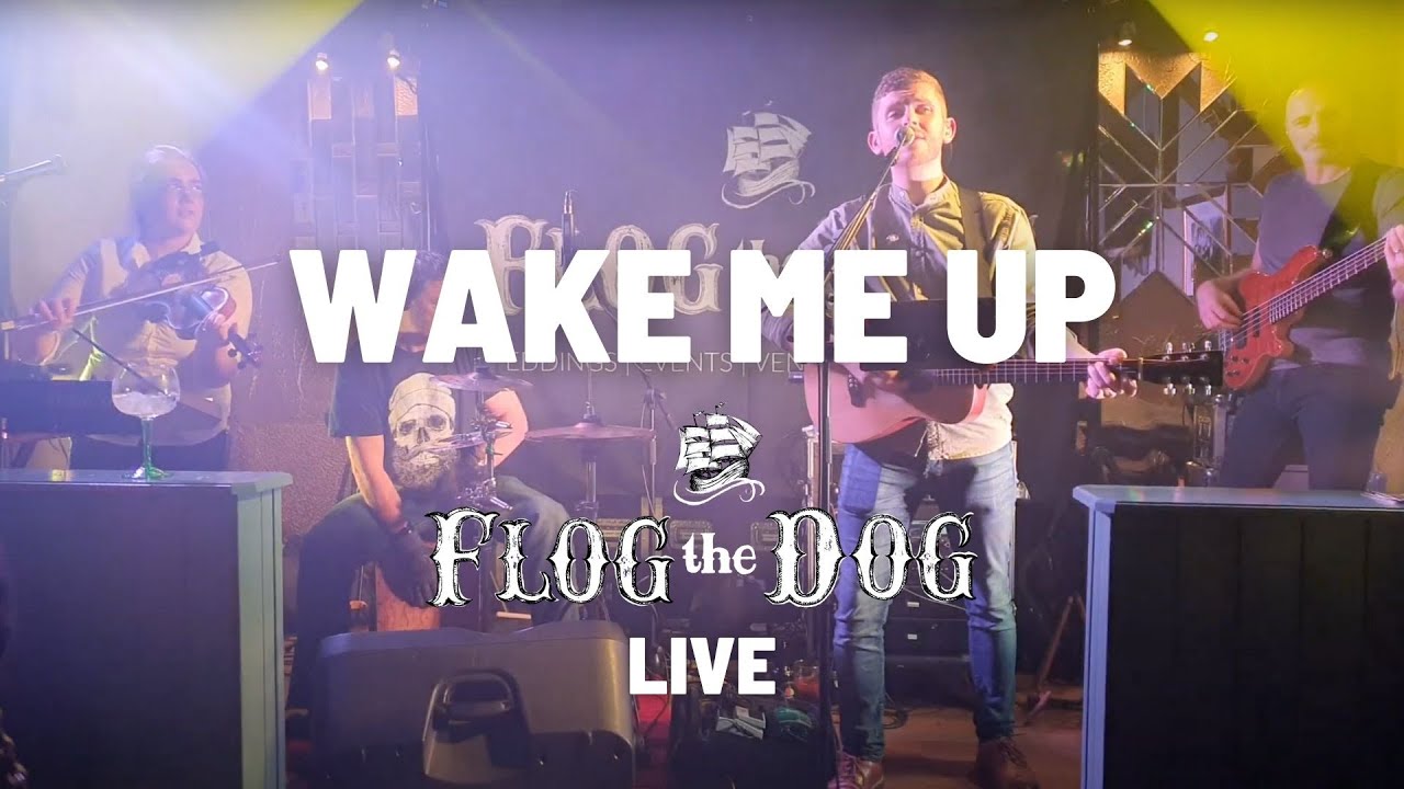 Wake Me Up - Flog The Dog Wedding Band LIVE
