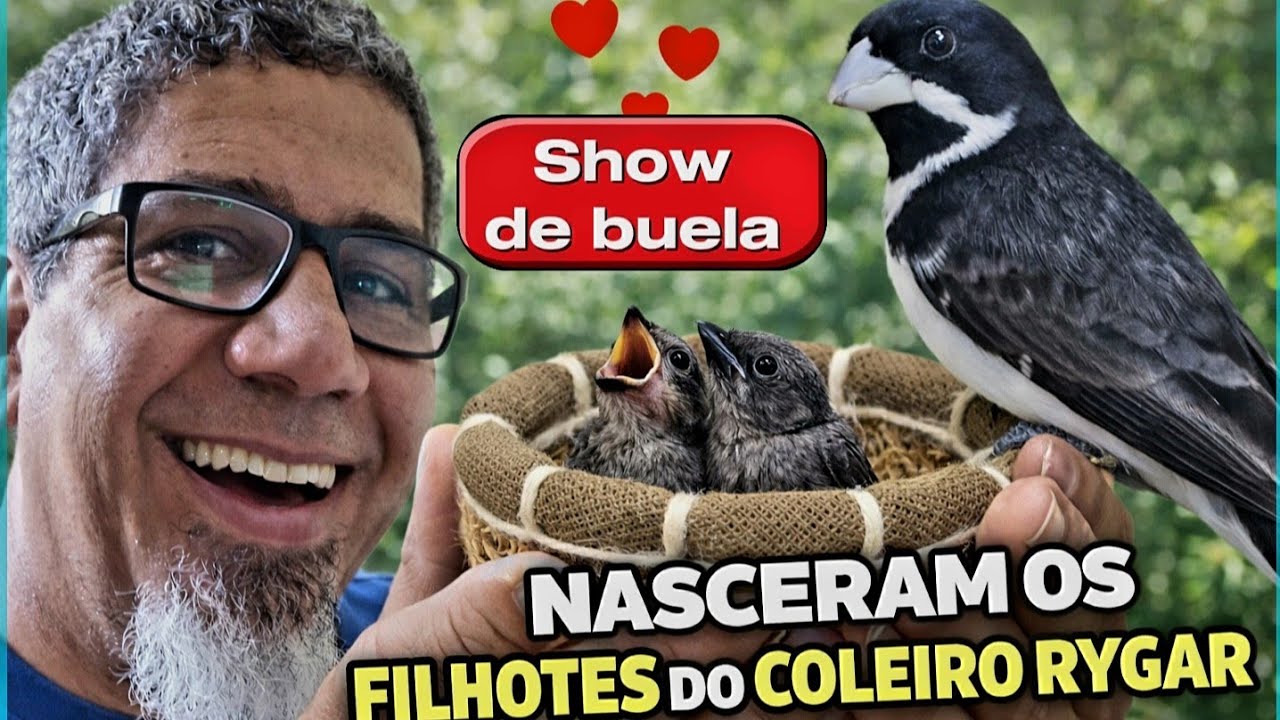 UM MANEJO NOVO E O MUSTANG CHEGOU