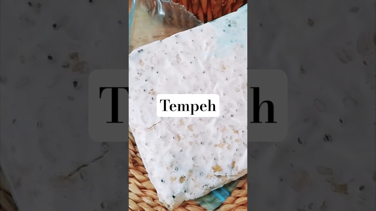 Tempeh de soja paso a paso #fermentation#tempeh#soja#fermentarverduras#shorts