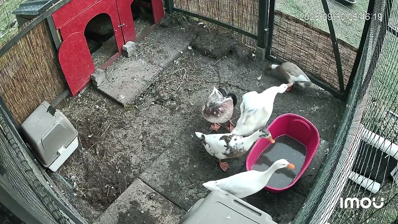 Wenn der Mittagsschlaf zu lange war 