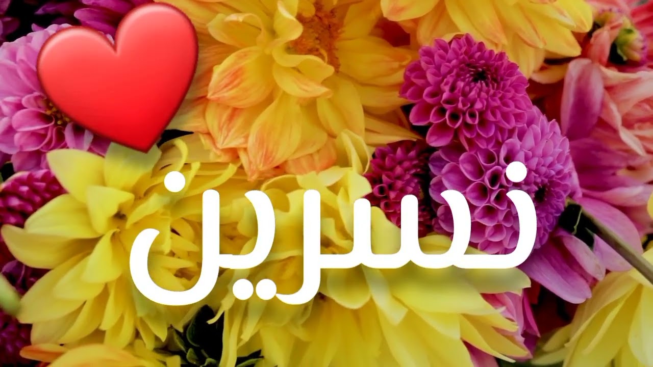 أغنية إسم نسرين #نسرين