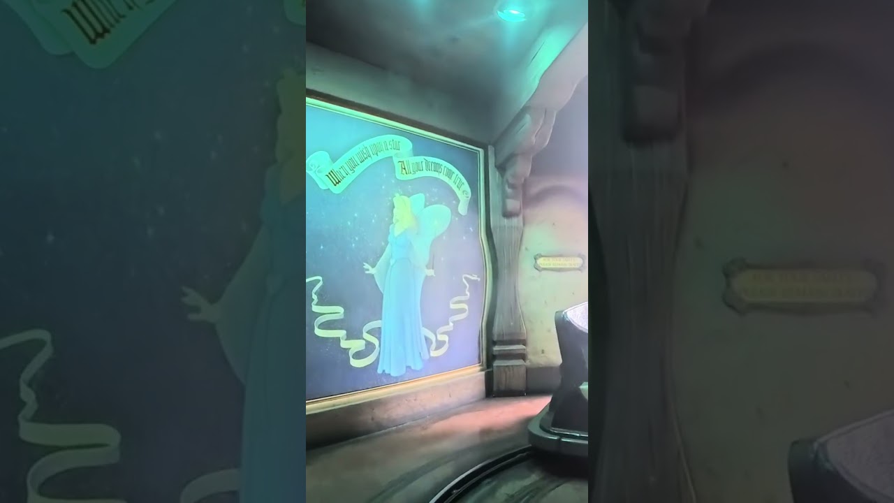 Disneys California Advenutre and  Disineyland rides 1.21.26