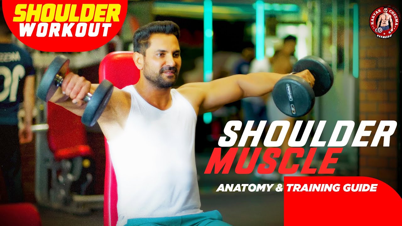 Shoulder Muscle Anatomy & Training Guide | Shoulder Workout at Gym