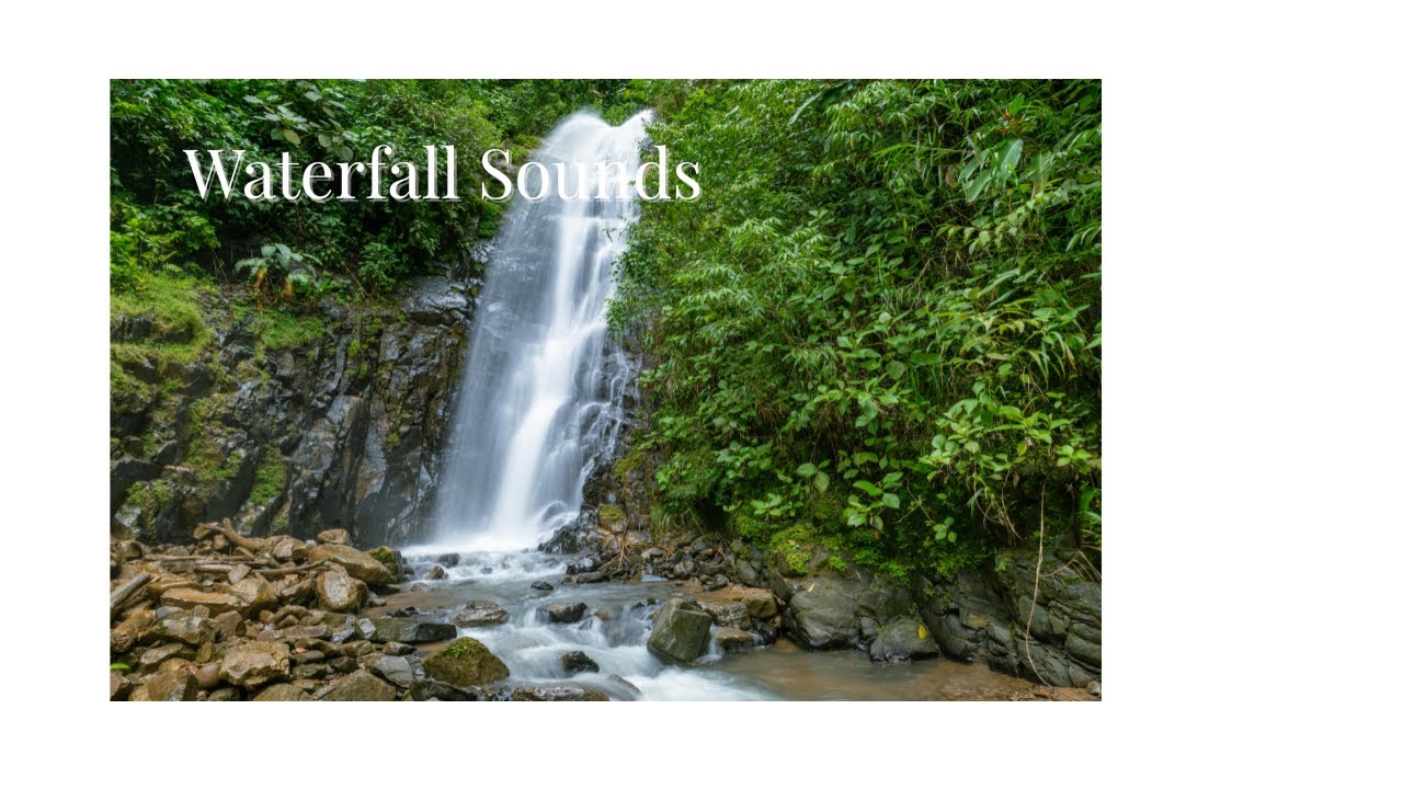 Forest Waterfall Sounds | Relaxing Nature Ambience