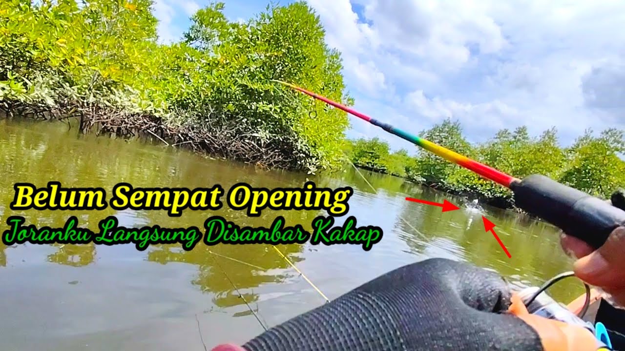 Belum Sempat Opening..!! Joranku Langsung Disambar Kakap Merah