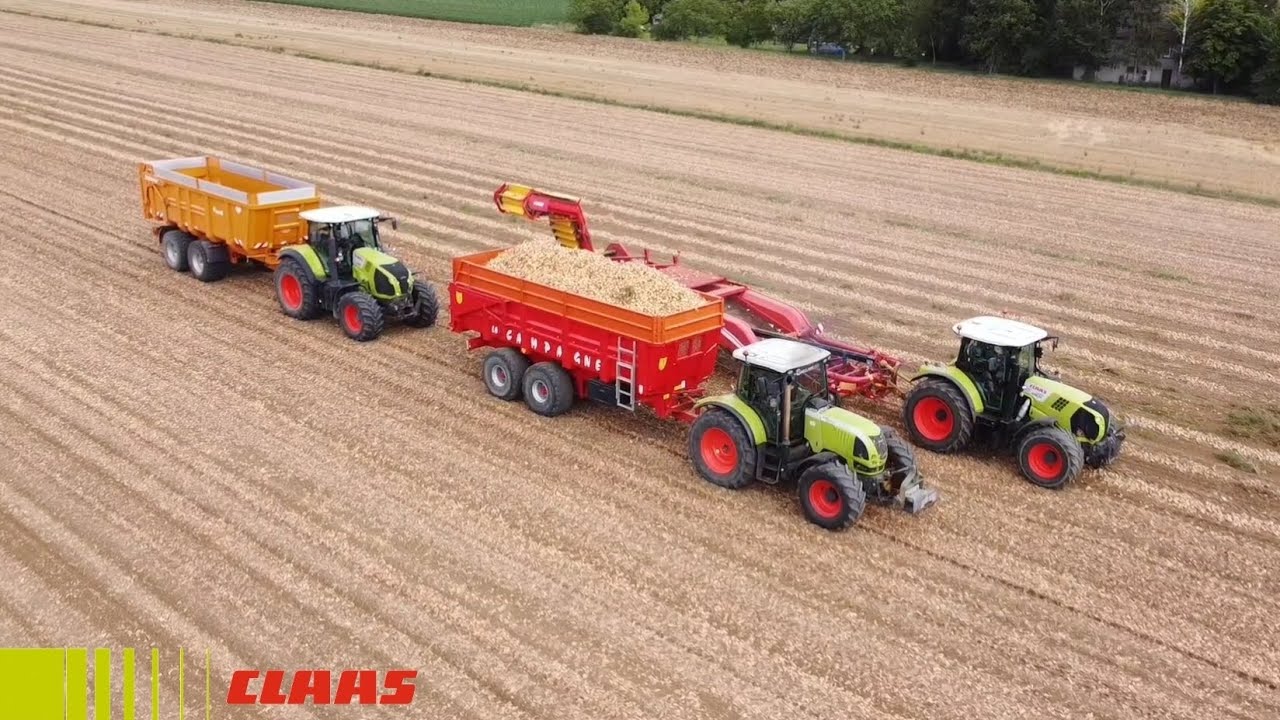Trois CLAAS à la Récolte d'oignons 2023  🧅 Claas Ares 697ATZ sound