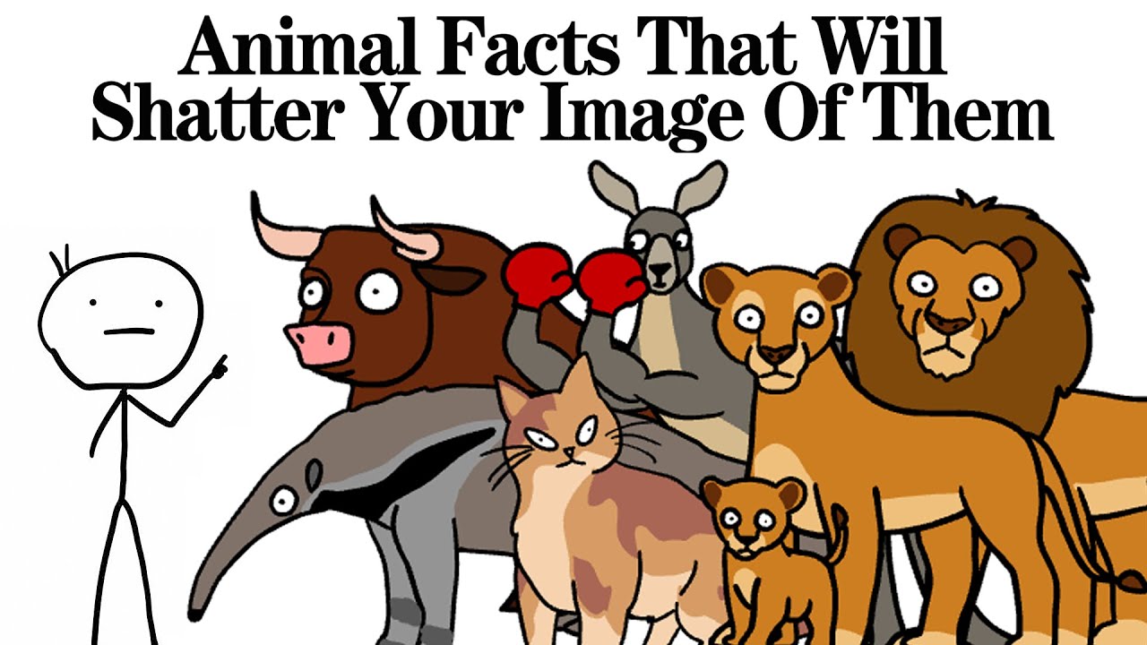 Weird Animal Facts That Will Shatter Your Image Of Them！